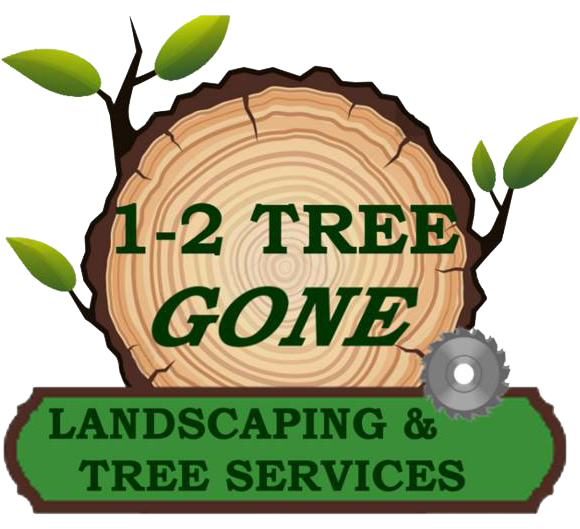 12 Tree Gone